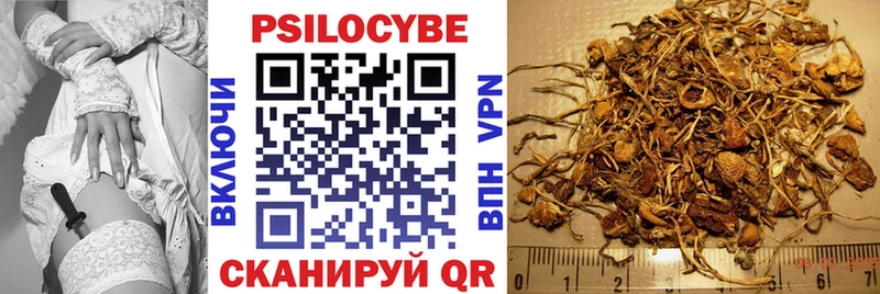 Псилоцибиновые грибы Cubensis  даркнет сайт  Шахты 